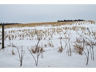 Property photo 32 - AUCTION, 206 Contiguous Acres offered in 5 Tracts